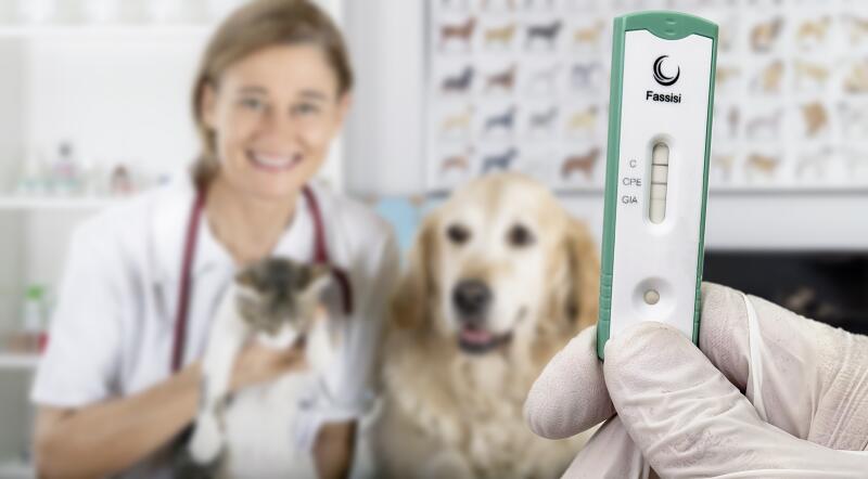 GiaCPE HundKatze+Kassette 90167510