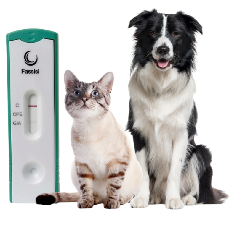 GiaCPE MPX Katze Hund